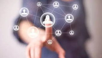 北京軟件開發(fā)公司排名與大型軟件開發(fā)公司概覽